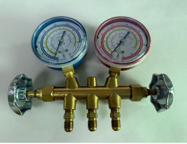 Testing Manifold